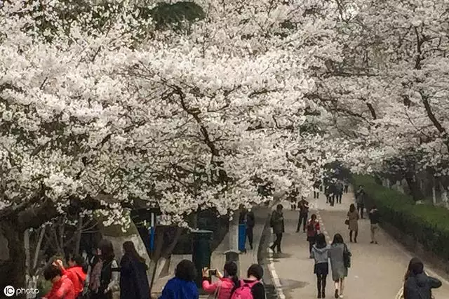 979年属羊男的性格和脾气，79年羊的性格和脾气"