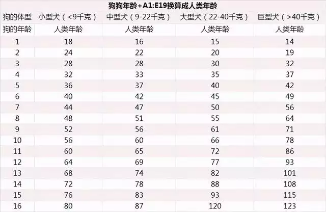 羊的六岁相当于人多少岁，狗四岁相当于人几岁