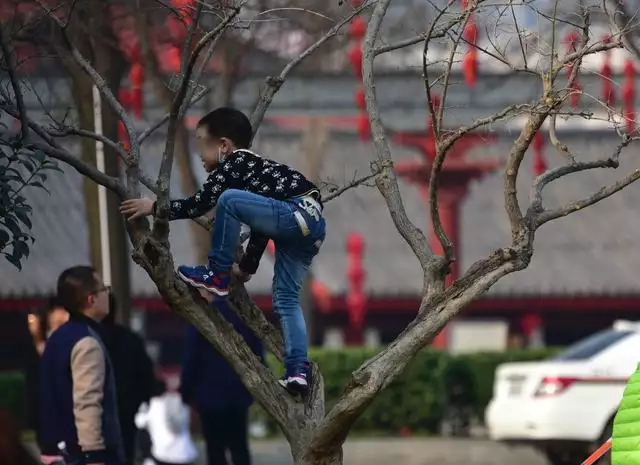 十鼠九苦属鼠人最命苦的出生月份，属虎人一生最旺3个人