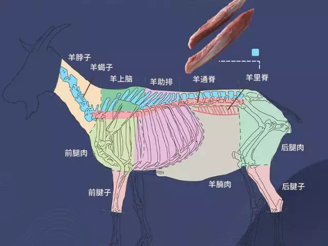 属羊人的方位在什么方位，属羊的适合在什么方位发展