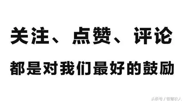 男难逢初一女难逢十五，浦发银行丁玮简历