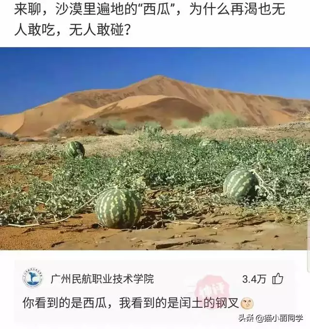 属猴的和属虎的相差几岁，男猴子大女虎6岁