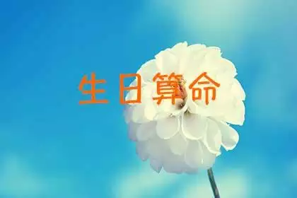 四柱八字排盘免费算命，免费八字排盘详批