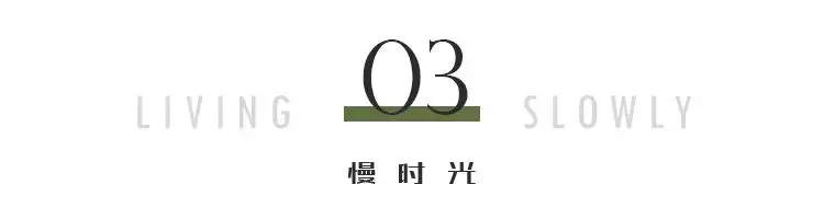 属羊今年四十几岁，属羊的比属猴的大几岁