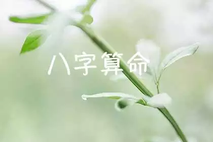 免费生辰八字算命详解，八字算命免费测八字婚姻