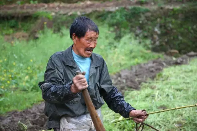 生肖属牛一生的克星是谁，73属牛的三大贵人