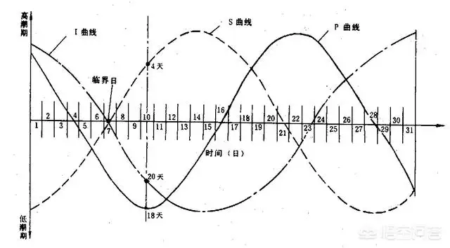 中国黄历万年历，查日子查黄历