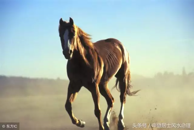 属马跟属羊的相配吗，请问属马的和属羊的相配怎么样