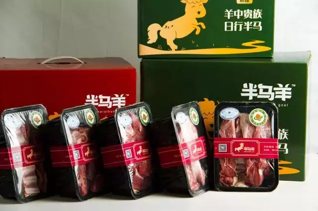 羊和什么生肖最配相克，男鼠和什么生肖最配