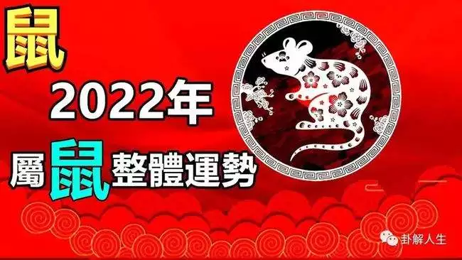 属猪2022年农历每月运势，属猪的2022年虎年运势怎么样