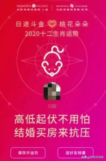 麦玲玲运势测算，麦玲玲2022 年运程十二生肖运程