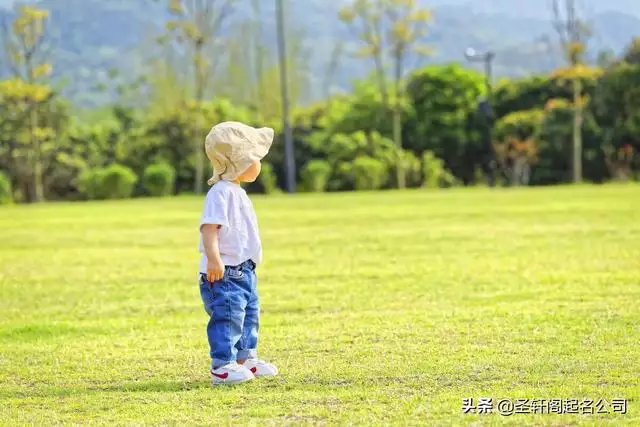 990年属马取名字男孩，属马男孩最吉利的小名"