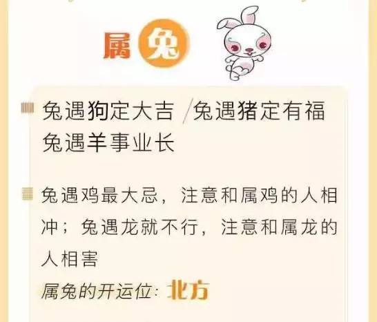 十二生肖兔的贵人是什么生肖，属兔人的财运贵人