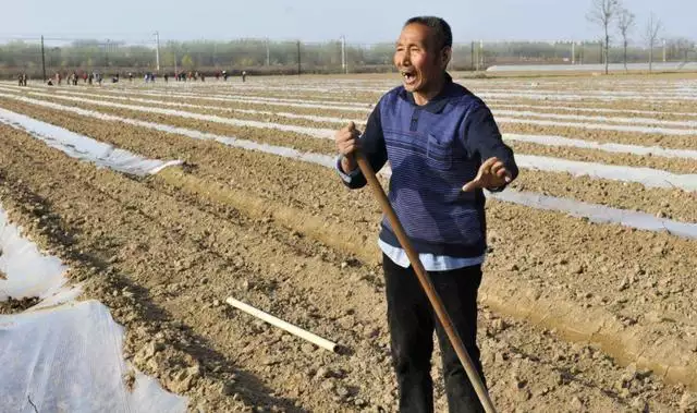 十鸡九不全属鸡人最苦的出生月份，八字测算免费