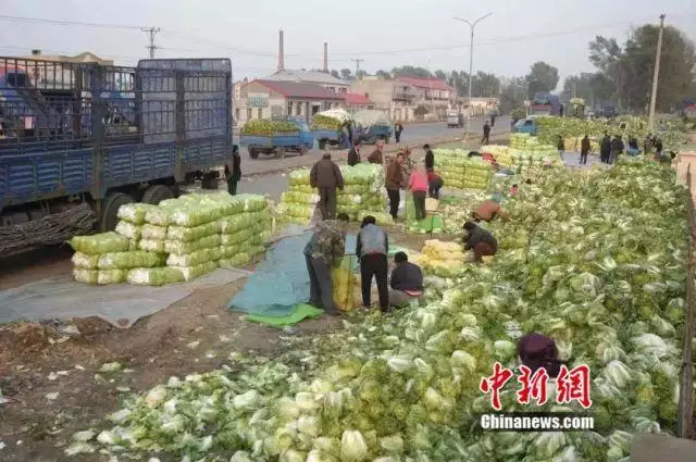 属羊的是八几年，羊年都是哪年出生