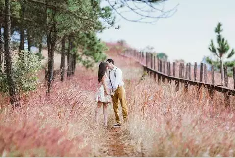 属狗女的婚姻与命运，属狗女的一生感情