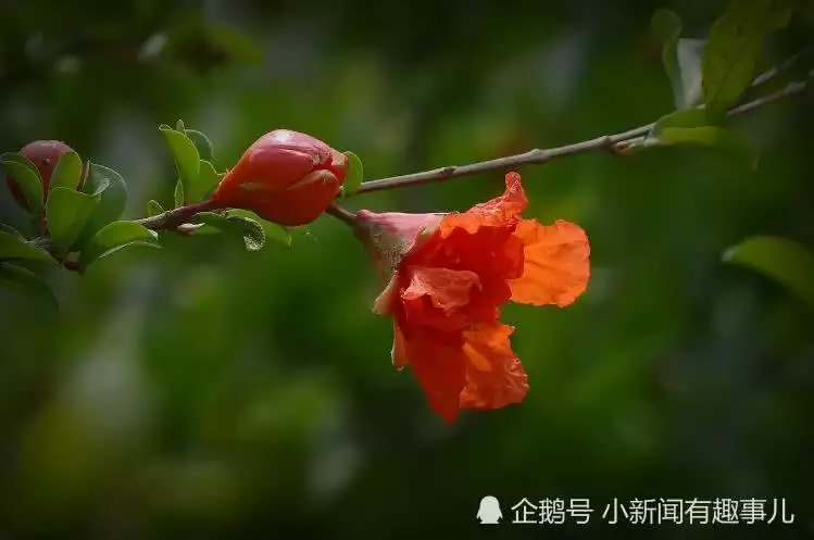 0年属马女桃花运，1990年属马桃花运在哪年"