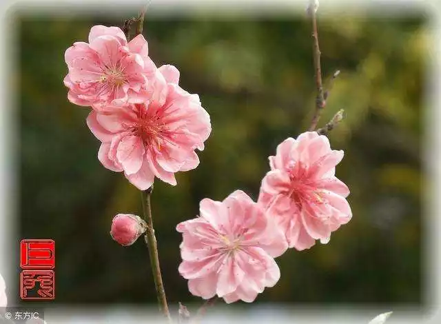 0年属马女桃花运，1990年属马桃花运在哪年"