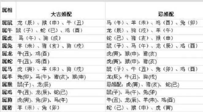 属马的男和属龙女相配吗，90属马和88属龙相配吗