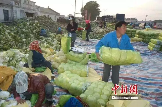 八几年属羊的今年多大了，属鸡的今年多少岁