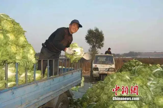 八几年属羊的今年多大了，属鸡的今年多少岁