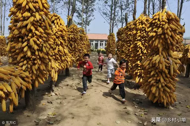 022年的属马是百年难遇挂件，属马的人可以带老鼠挂件吗"