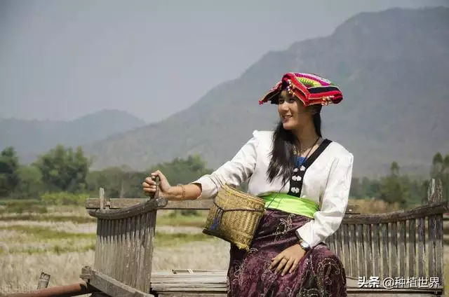 正月出生的女人不能娶，正月十五出生女孩婚姻