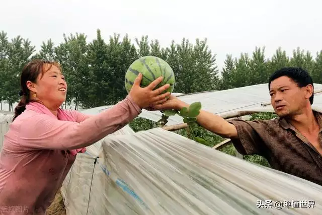 正月出生的女人不能娶，正月十五出生女孩婚姻