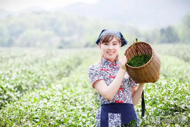 牛年对属马的好吗，属马的在牛年