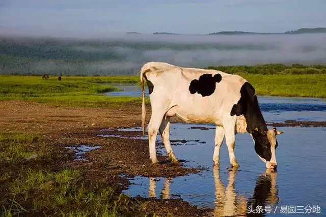 牛年酉时出生的女孩命运，上等命的时辰