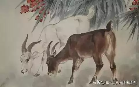 属马的人品怎么样，黄子韬人品怎么样