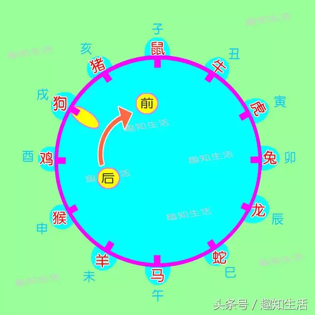 十二生肖算年龄怎么算，十二生肖算年龄