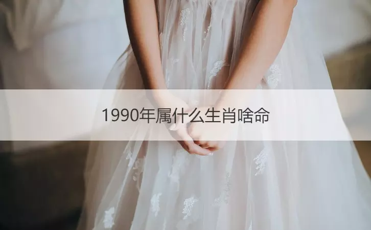 990年属什么生肖，1990年属马的更佳配偶"