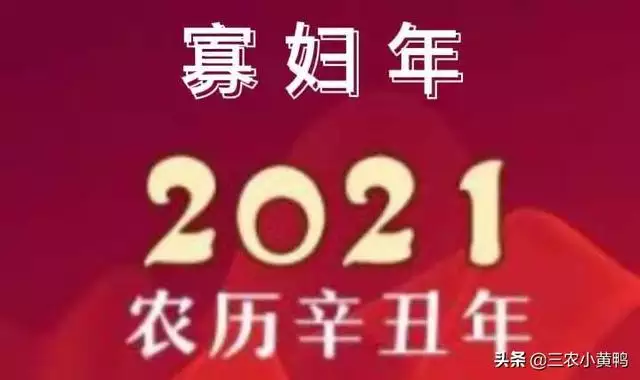 3年属羊今年好不，2022