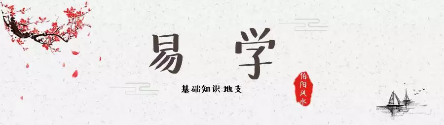 八字为什么年柱最重要，四柱预测年柱代表什么