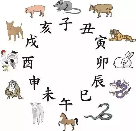 猪和龙在一起对谁不利，属相猪和龙相克吗