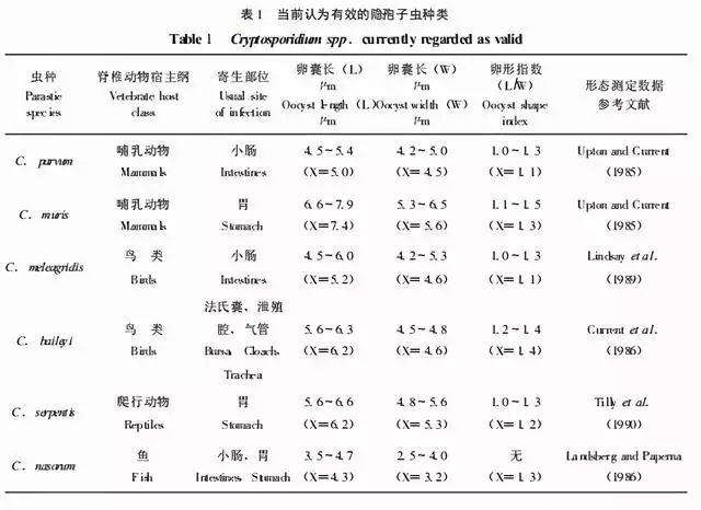 999兔和2001蛇好不好，99年男兔跟01年蛇配吗"