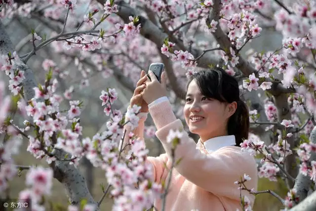 属蛇的桃花贵人是什么，属龙的桃花贵人