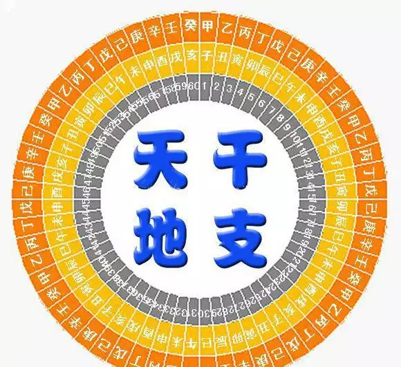 蛇属于金木水火土哪五行，五行中的金木水火土各代表什么