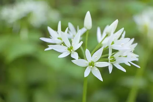 022属虎人有贵人相助吗，属什么的人命更好"