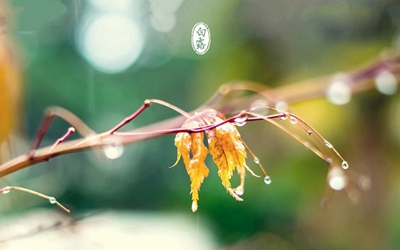 020年白露节气未时出生宝宝喜用神是什麽命如何？"