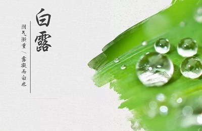 020年白露节气子时生人五行缺什麽，是什麽命？"