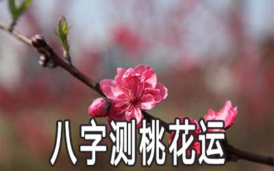 八字怎麽测桃花运详解