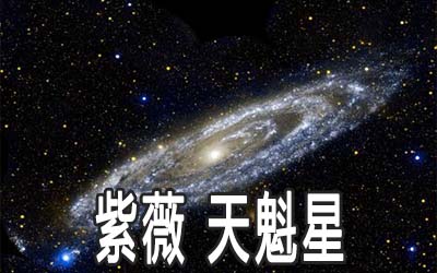 紫微甲级星曜：天魁星详解