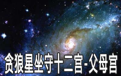 贪狼星坐守十二宫：父母宫详解