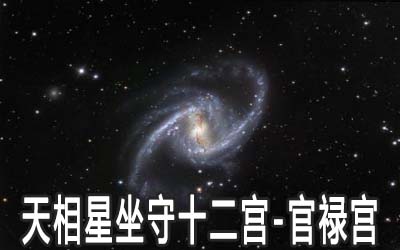 天相星坐守十二宫：官禄宫详解