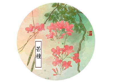 020年芒种节气巳时生人五行缺什麽，是什麽命？"