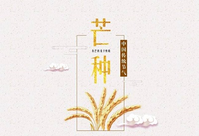 生肖属兔的人芒种节气出生好不好？芒种有什麽活动？