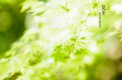 020鼠年五月初一夏至日适合求嗣吗怀孕什麽时候生？"