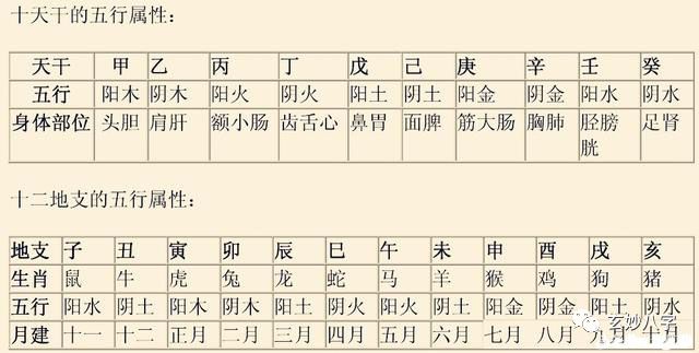 八字地支查询(八字排盘系统)